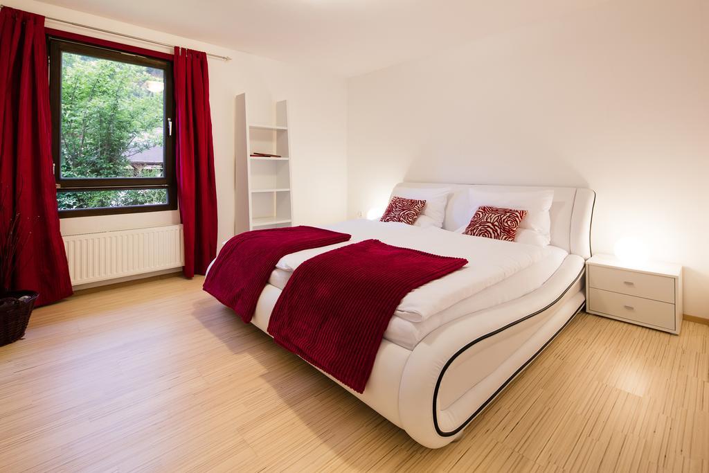 W & S Executive Apartments - Hallstatt I Esterno foto
