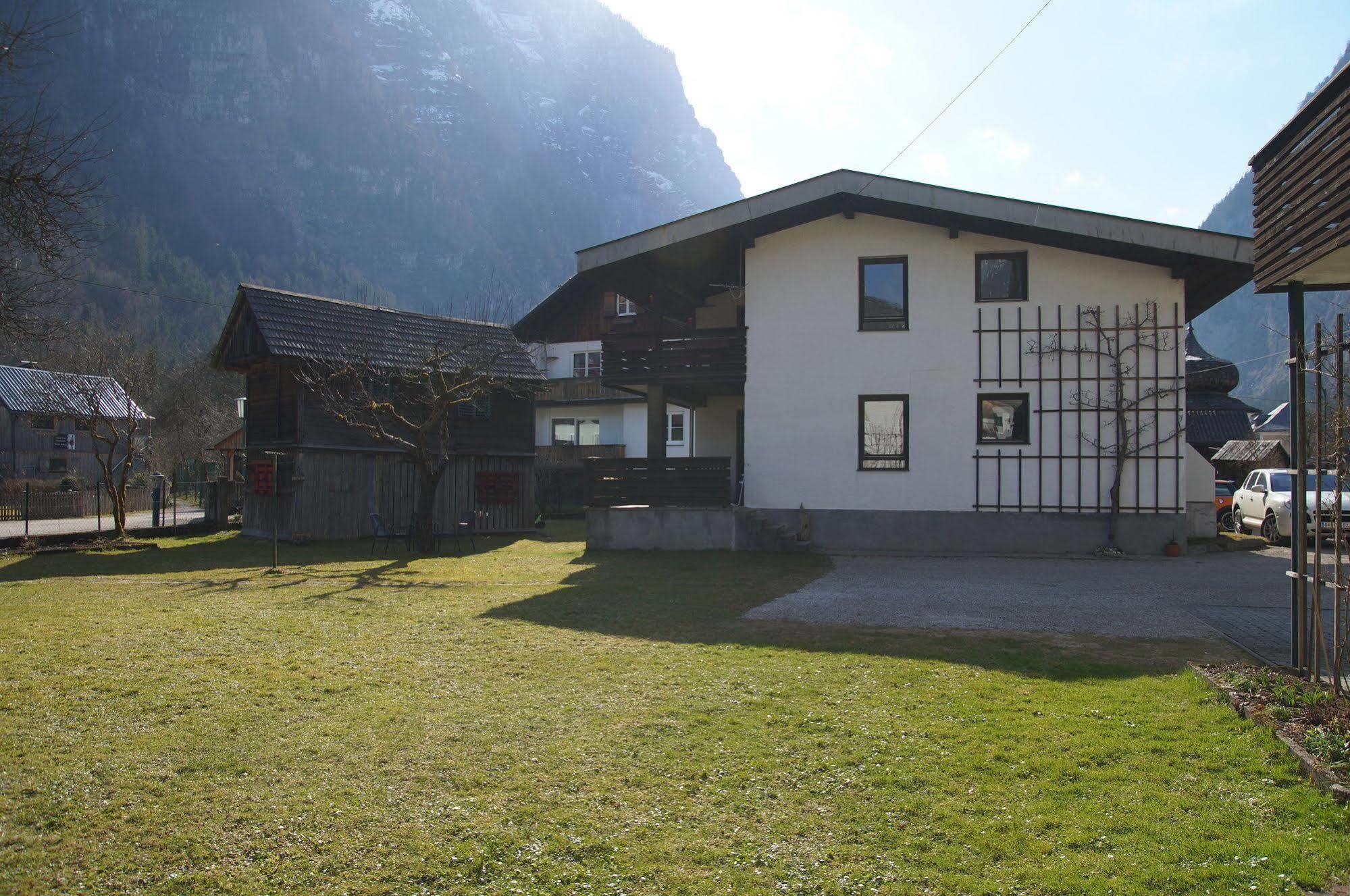 W & S Executive Apartments - Hallstatt I Esterno foto