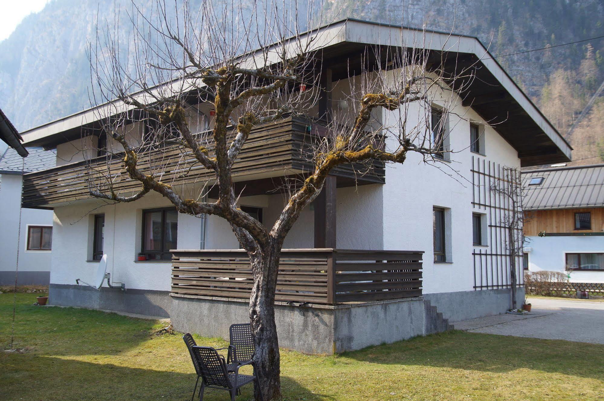 W & S Executive Apartments - Hallstatt I Esterno foto